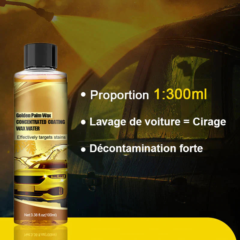 Cire de lavage de voiture Golden Carnauba