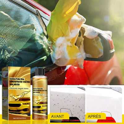 Cire de lavage de voiture Golden Carnauba