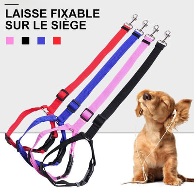 Laisse Réglable pour Chien Fixable sur le Siège Auto