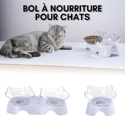 Bol à Nourriture pour Chats