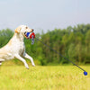 Jouet d'Entraînement Extérieur Boule de Corde pour Animaux de Compagnie