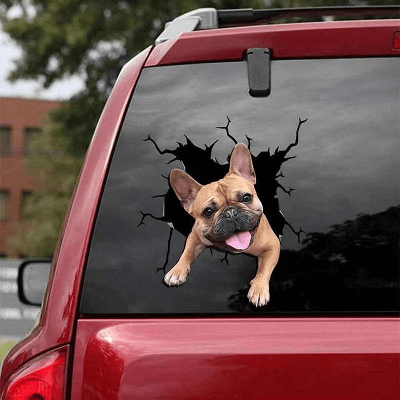 Autocollant chien créatif pour fenêtre de voiture