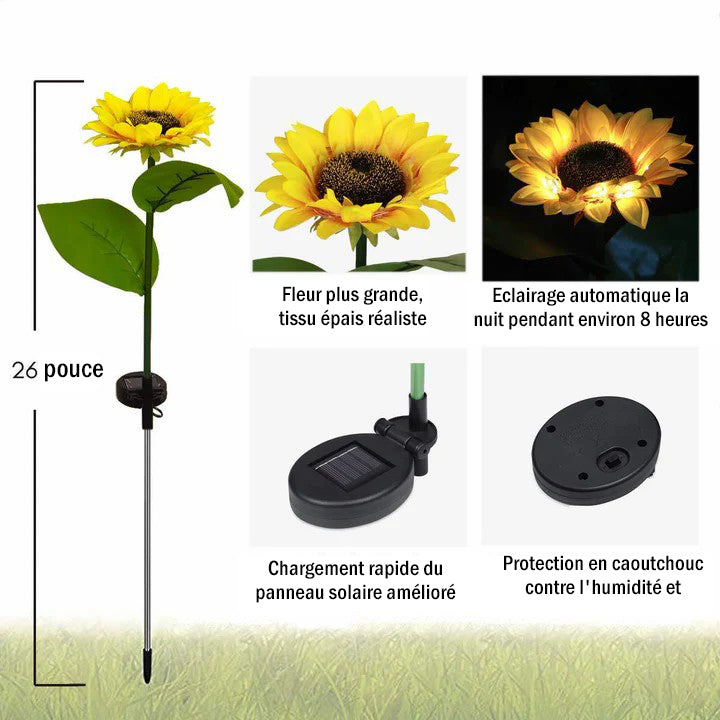 Solaire Tournesol Lumière，2pcs