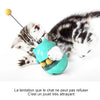 Mangeoire Interactive pour Chat Jouet pour Animal Domestique Multifonctionnel