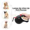 Laisse Rétractable Flexible de Chien